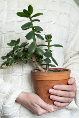 Bahçede çalışmak, saksı ekmek.