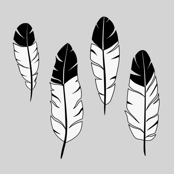 Feathers, ink hand drawn stock vector — Stock Vector