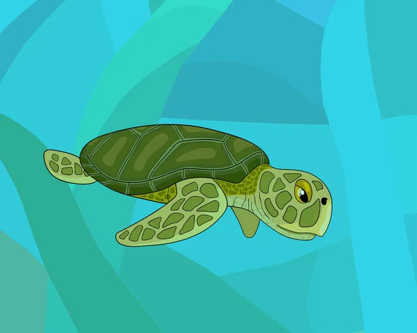 Dibujos animados tortuga de colores del mar, vector de stock — Vector de stock