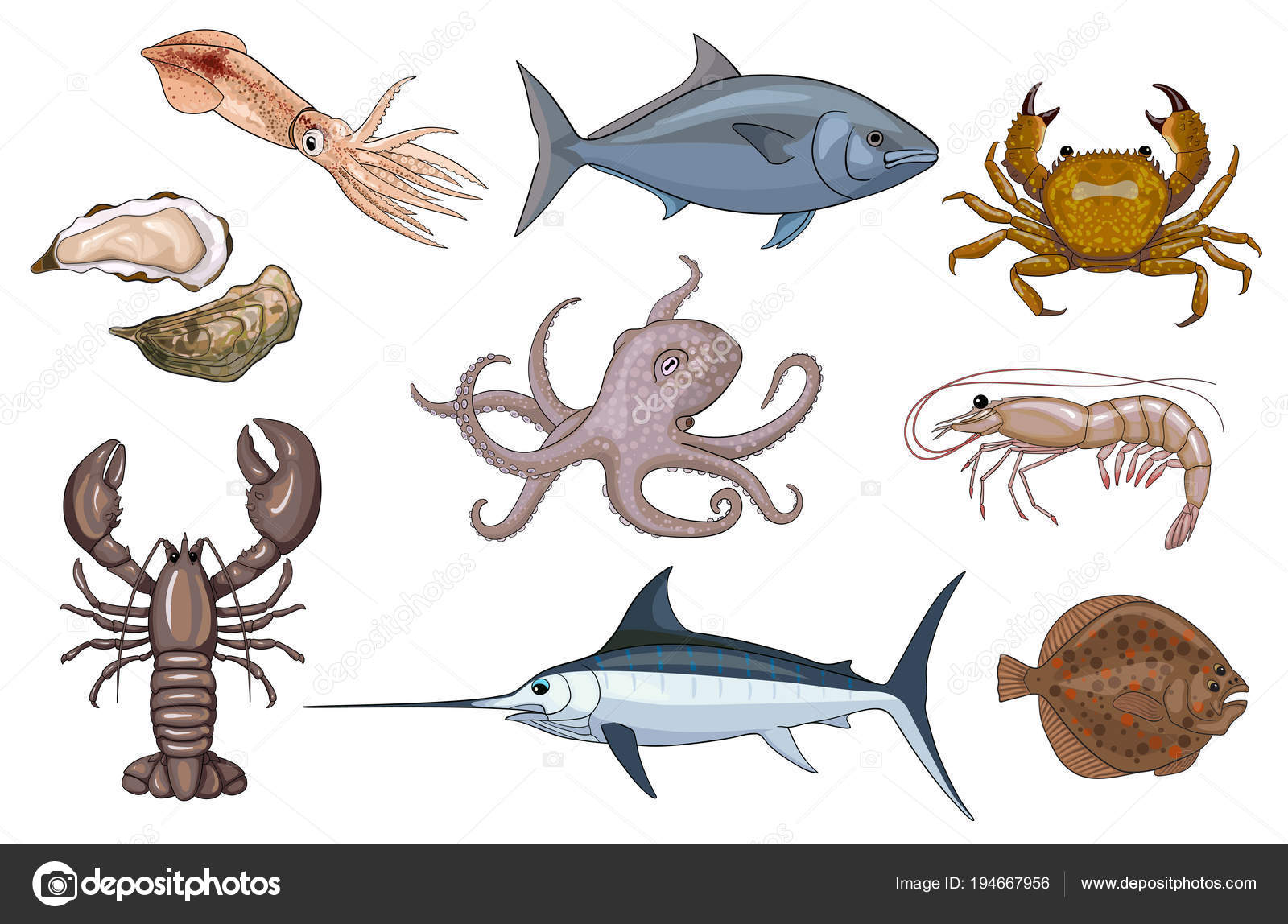 Conjunto de dibujos animados de animales marinos comestibles vector,  gráfico vectorial © Dmitry375 imagen #194667956