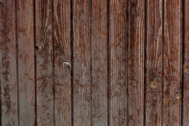 Eski püskü gri-kahverengi çit, terk edilmiş ve unutulmuş, ahşap bir arka plan, kırsal, grunge, eski moda