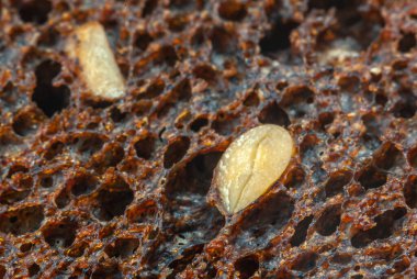 Taze çavdar ekmeği ve ayçekirdeği dokusunun Macro fotoğrafı.