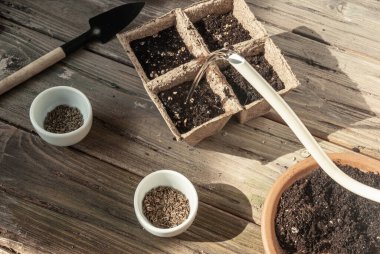 Turba saksılarına ekilmiş dereotları ve maydanozları sula. Pencere kenarındaki bahçe kendi ellerinle..