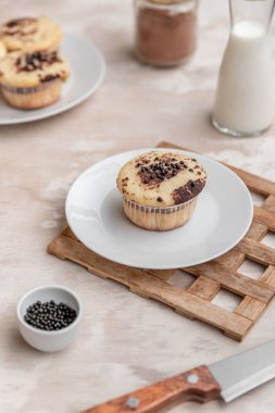 Hafif arkaplanda kakao serpiştirilmiş lezzetli vanilyalı kek..