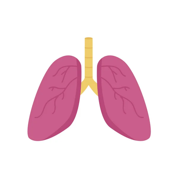 Órgano pulmonar sobre fondo blanco. Estilo plano de moda para el diseño gráfico, sitio web. Ilustración vectorial EPS 10 . — Vector de stock