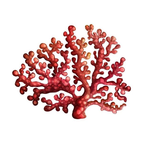 Récif corallien sur fond blanc. Illustration vectorielle . — Image vectorielle