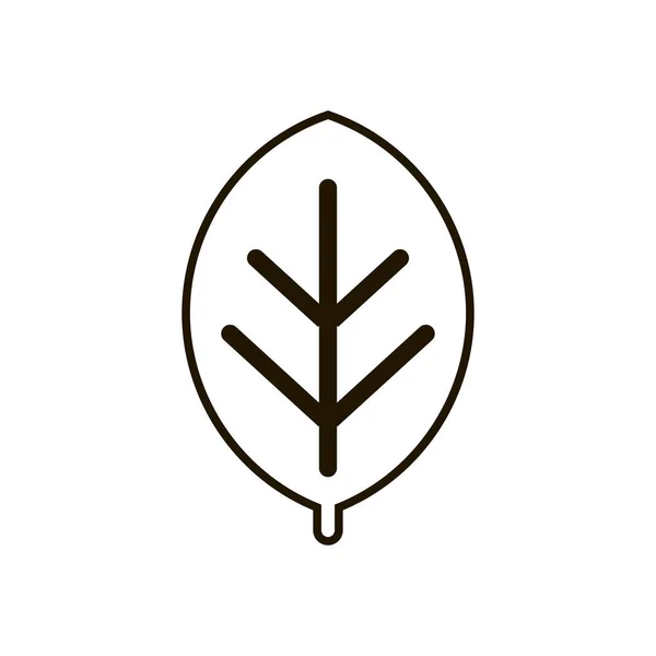 Icône feuille d'arbre dans un style plat tendance isolé. Illustration eps 10 . — Image vectorielle