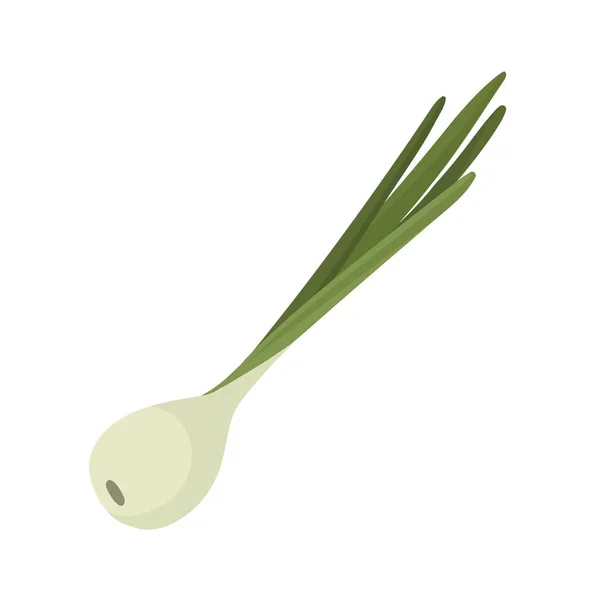 Grüne Zwiebeln auf weißem Hintergrund. Vektorillustration im trendigen flachen Stil. EPS 10. — Stockvektor