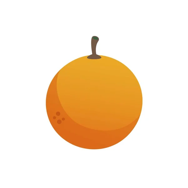 Frutto arancio su fondo bianco. Illustrazione vettoriale in stile piatto alla moda. EPS 10 . — Vettoriale Stock