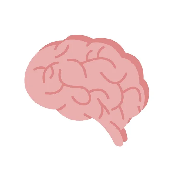 Cérebro Humano sobre fundo branco. Ilustração vetorial em estilo plano moderno. EPS 10 —  Vetores de Stock