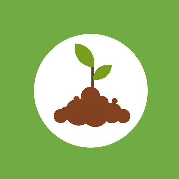 Planta creciendo. Plantando ícono de árbol. Brote, planta, agricultura arbórea. Ilustración vectorial en estilo plano . — Vector de stock