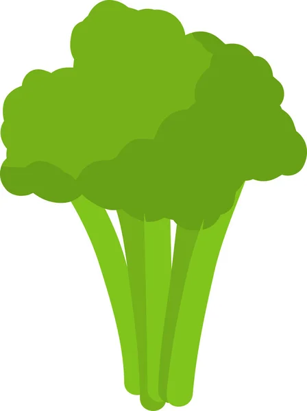 Brócoli vegetal aislado sobre fondo blanco Vector cocina ingrediente . — Vector de stock