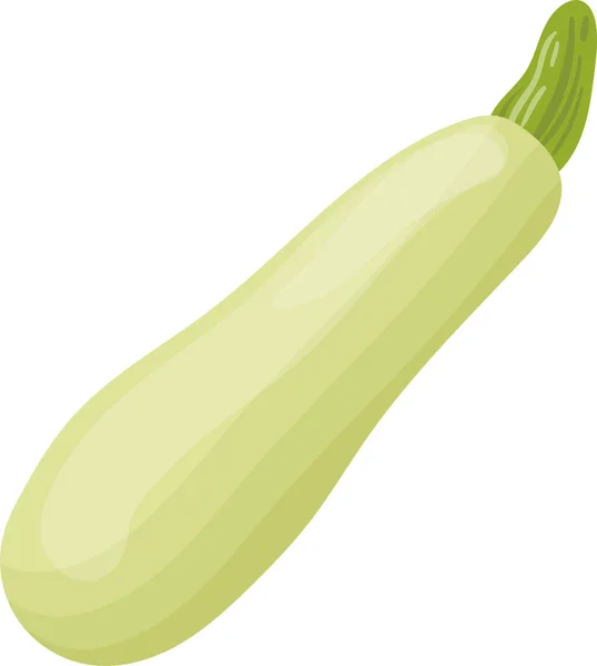 Grüner Kürbis oder Zucchini isoliert auf weißem Hintergrund. Vektorillustration. — Stockvektor