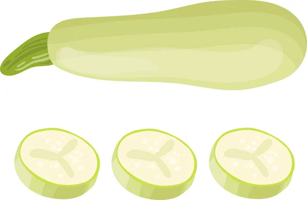 Calabaza verde o calabacín aislado sobre fondo blanco. Ilustración vectorial . — Vector de stock