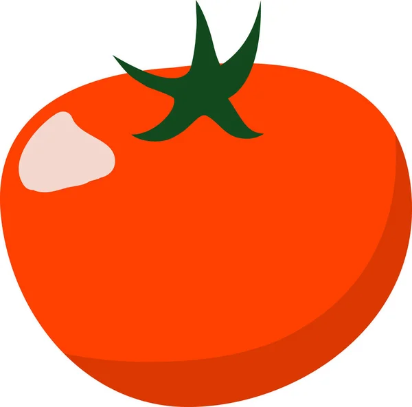 Konsep vektor sayuran segar tomat. Ilustrasi gaya diet datar yang sehat. Makanan hijau terisolasi, dapat digunakan dalam menu restoran, buku masak dan label pertanian organik. Ilustrasi Vektor. - Stok Vektor