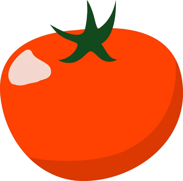 Concepto de vector vegetal fresco de tomate. Dieta saludable ilustración estilo plano. Comida verde aislada, se puede utilizar en el menú del restaurante, libros de cocina y etiqueta orgánica de la granja. Ilustración vectorial . — Vector de stock