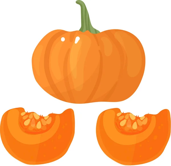 Narancs tök vektor illusztráció. Őszi halloween tök, növényi grafikus ikon vagy nyomtatás, elszigetelt fehér alapon. — Stock Vector