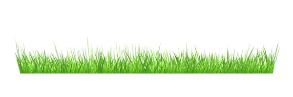 Borde de hierba verde sobre fondo blanco. Ilustración de stock . — Vector de stock