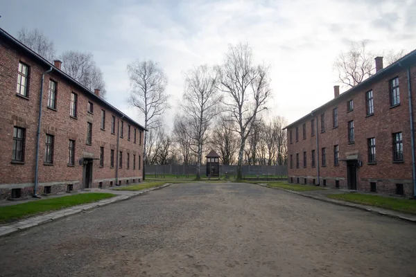 Campo Concentração Auschwitz Visite Dia Inverno Cinza Frio — Fotografia de Stock