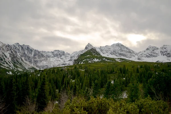 Πανόραμα Χιονισμένα Βουνά Tatra Χειμώνα Zakopane Πολωνία — Φωτογραφία Αρχείου