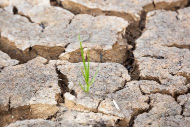 Çatlamış toprak arkaplanını kapat
