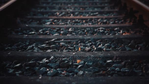 Gamla rails i landskapet. Rails ina mark. — Stockvideo