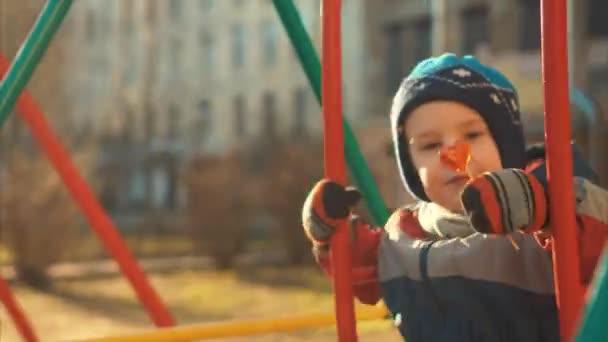 Сміється маленький хлопчик їде на гойдалці — стокове відео