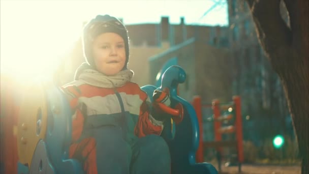 Laughing little boy riding on a swing — Stock Video