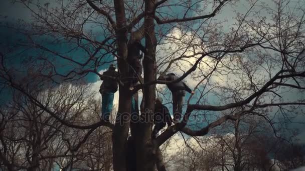 SAINT-PETERSBURG, RUSIA - 9 DE MAYO DE 2017: los espectadores en el árbol — Vídeo de stock