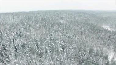 Hava üstgeçidi donmuş karlı çam ormanları