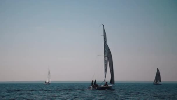 Jachtok, vitorlázás regatta — Stock videók