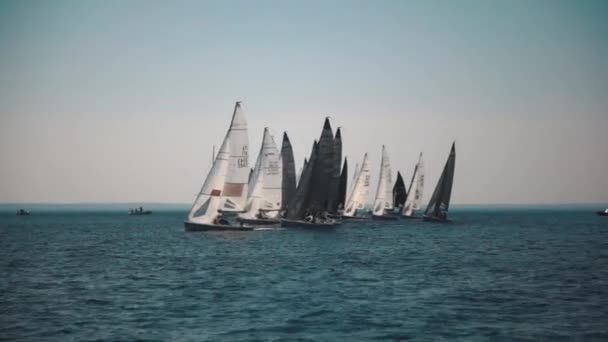 Yachts segling regatta — Stockvideo