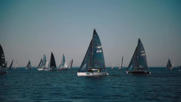 Yachts segling regatta — Stockvideo