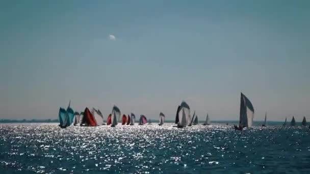 Jachtok, vitorlázás regatta — Stock videók