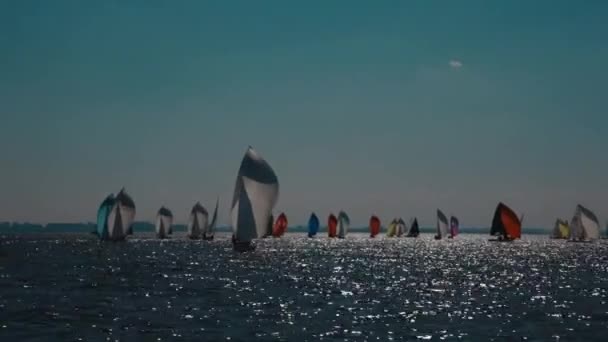 Jachtok, vitorlázás regatta — Stock videók