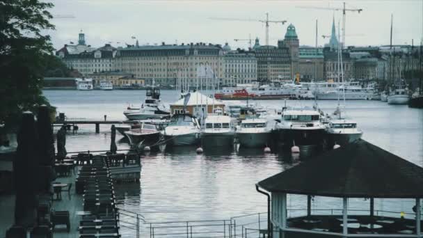 Yachts in marine in the evening light — Stock Video