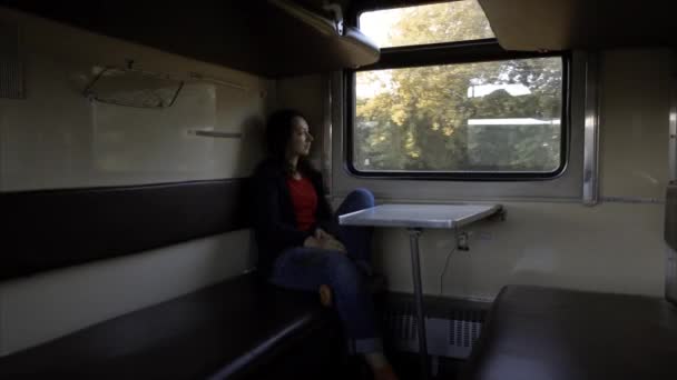 Девушка-туристка смотрит в окно поезда . — стоковое видео