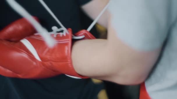 Muscular fighter tying boxing gloves — Stock Video