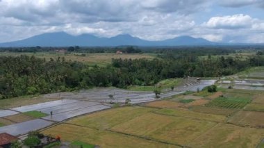 İHA dikey olarak havalanıyor. Ufukta, Ubud yakınlarında mavi gökyüzünde beyaz bulutlar ve güneşli havada dağları görebilirsiniz.