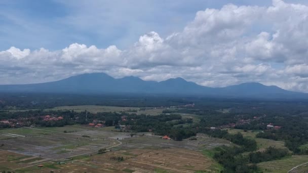 Dron szybko ląduje pionowo z widokiem na tarasy ryżowe, na horyzoncie widać góry w słonecznej pogodzie z białymi chmurami na niebieskim niebie w pobliżu Ubud — Wideo stockowe