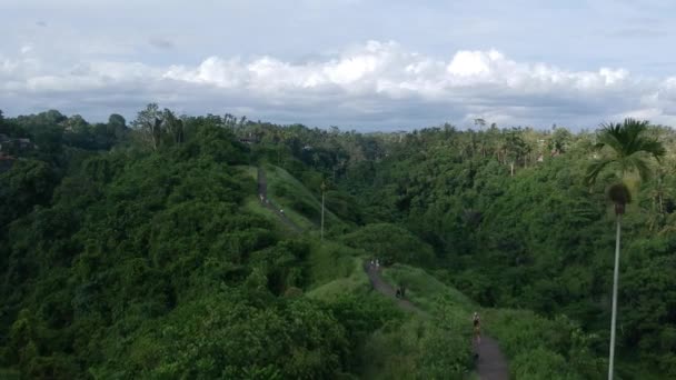 De drone vliegt langs het pad wandelende mensen in een pittoreske jungle met palmbomen en een bos, tegen een blauwe lucht met witte wolken op de Campuhan Ridge Walk road in Ubud, Bali — Stockvideo