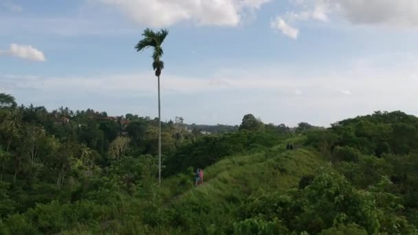 Eine Drohne fliegt über einen Pfad mit Menschen, die in einem malerischen Dschungel mit Palmen und einem Wald wandern, vor einem blauen Himmel mit weißen Wolken auf der Campuhan Ridge Walk Road in Ubud, Bali — Stockvideo