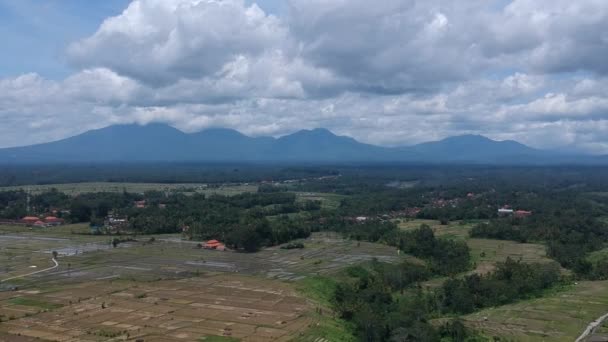 O drone voa rapidamente para cima e para a frente com uma vista dos terraços de arroz com as casas dos agricultores, no horizonte você pode ver montanhas em tempo ensolarado com nuvens brancas no céu azul perto de Ubud — Vídeo de Stock