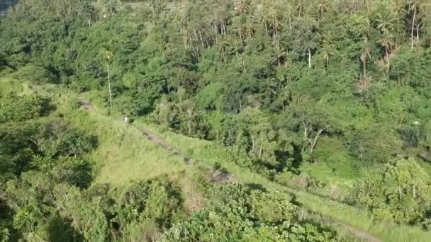 Die Drohne fliegt bei sonnigem Wetter sehr weit weg von einigen Menschen, die auf dem Campuhan Ridge Walk Pfad in Ubud, Bali stehen. Rund um den tropischen Dschungel und alles ist grün. Sichtbare Flussbetten — Stockvideo