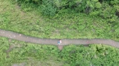 Campuhan Tepesi 'nde palmiye ağaçları ve tropikal bir ormanla yürüyen insansız hava araçları dikey olarak uçuyor. Yayaların hızla ilerlediği bir yaya yolu görülebiliyor.