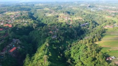 İHA, güneşli havada Campuhan Tepesi Yürüyüş yolu boyunca uçar palmiye ağaçları, nehir deltaları ve evler görünür, Ubud Bali