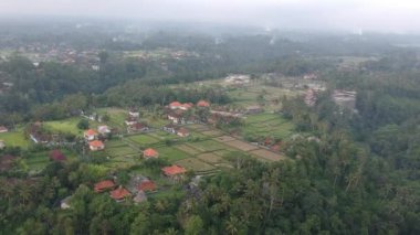 Akşamları pirinç tarlaları boyunca uçan bir dron görülebiliyor ve evlerin kırmızı çatıları, şenlik ateşlerinden çıkan dumanlar da görülebiliyor, ufukta her şey bir sis bulutu içinde.