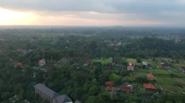 Kuadrokopter Bali 'deki Ubud ormanına iniyor, palmiye ağaçları ve pirinç tarlaları ortaya çıkıyor. Hava bulutlu ve gri, bütün gökyüzü bulutlarda ve sarı güneş görünür.