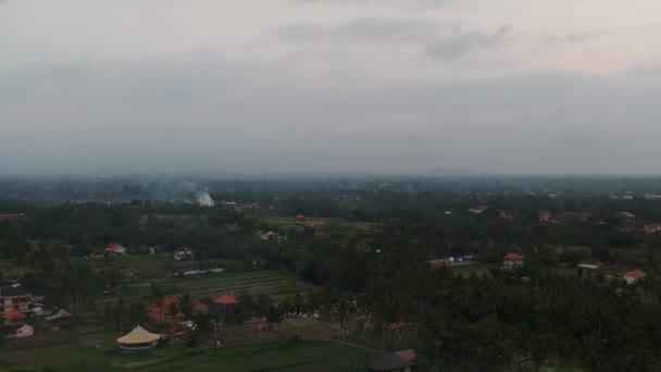 Moscas quadrocopter ao longo de campos de arroz moitas de palmeiras são visíveis à noite e telhados vermelhos de casas, fumaça de fogueiras também é visível, no horizonte tudo está em uma névoa — Vídeo de Stock