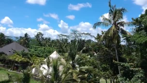 O drone decola perto das pirâmides de chi em Ubud Bali, palmeiras e pirâmides na selva são visíveis em tempo ensolarado claro contra um céu azul e campos de arroz — Vídeo de Stock